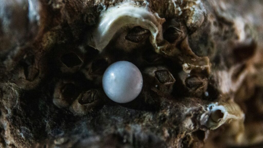 Shipping Freshwater Pearls from Shanxiahu: Logistics & Customs Guide for Buyers