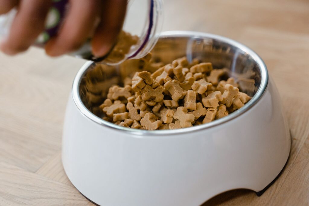 Nanhe Pet Food Sourcing Guide: Pet Treats, Dry Food & Pet Product International Shipping