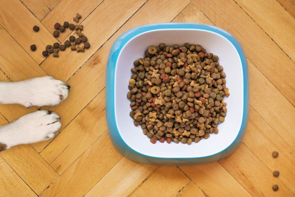 Importing Pet Food & Supplies from Nanhe: Regulatory & Shipping Logistics