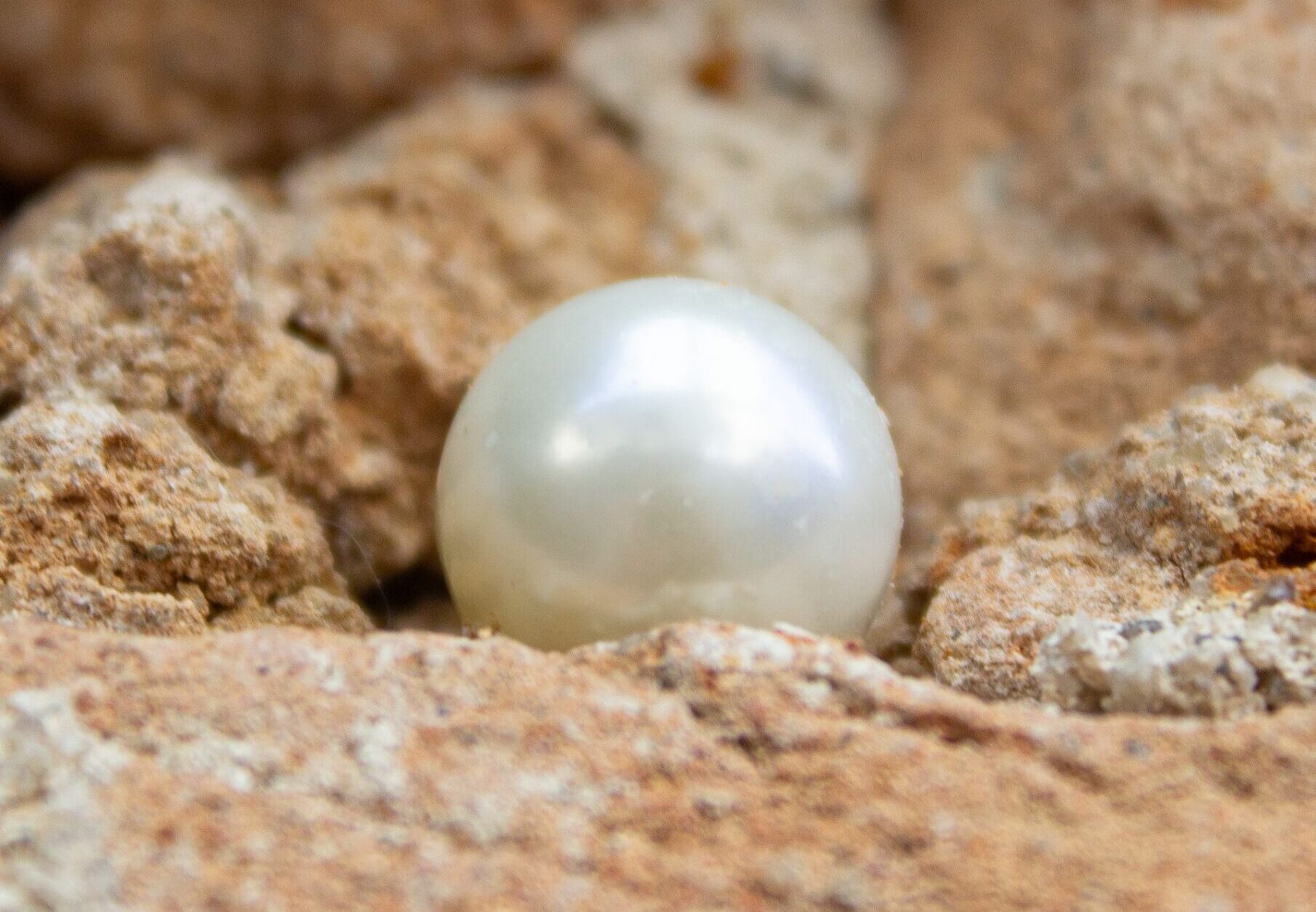 Shipping Freshwater Pearls from Shanxiahu: Logistics & Customs Guide for Buyers